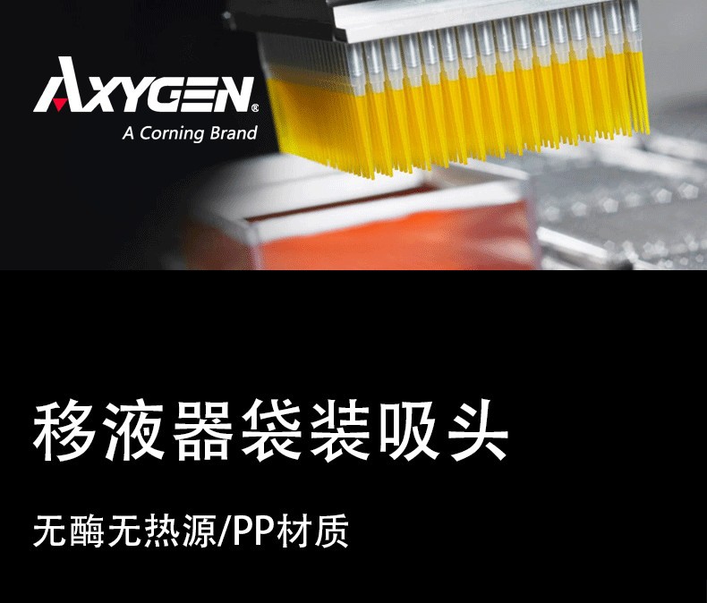 愛思進1.jpg